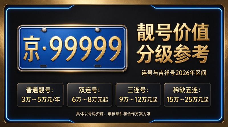闲置北京租车牌照三年多少钱查询界面